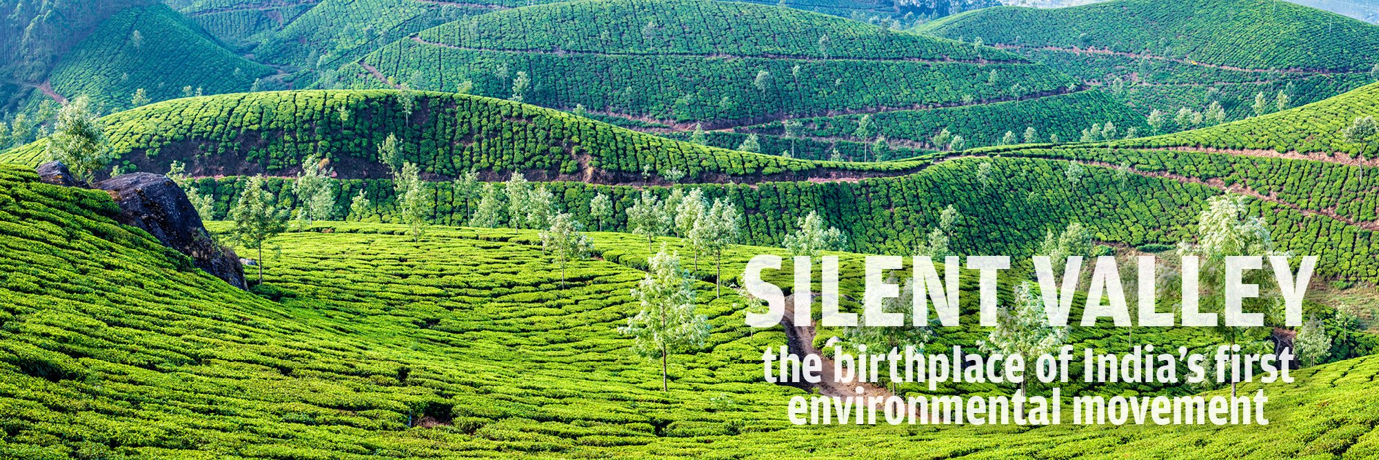 Silent Valley Movement