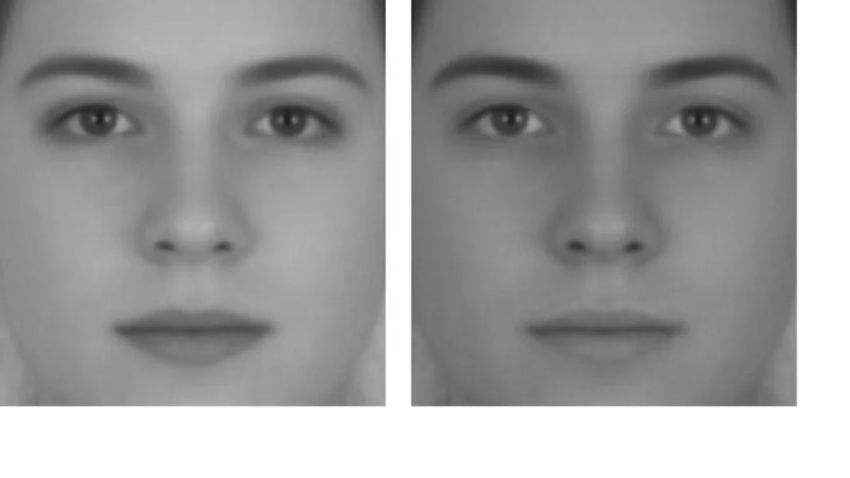 この写真すげぇｗｗ同じ顔なのに、コントラストが違うだけで違う性別に見えるｗｗｗ