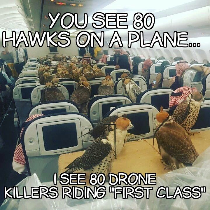 josuhakeegan's tweet image. #dronehumor 
@DroneChallenge