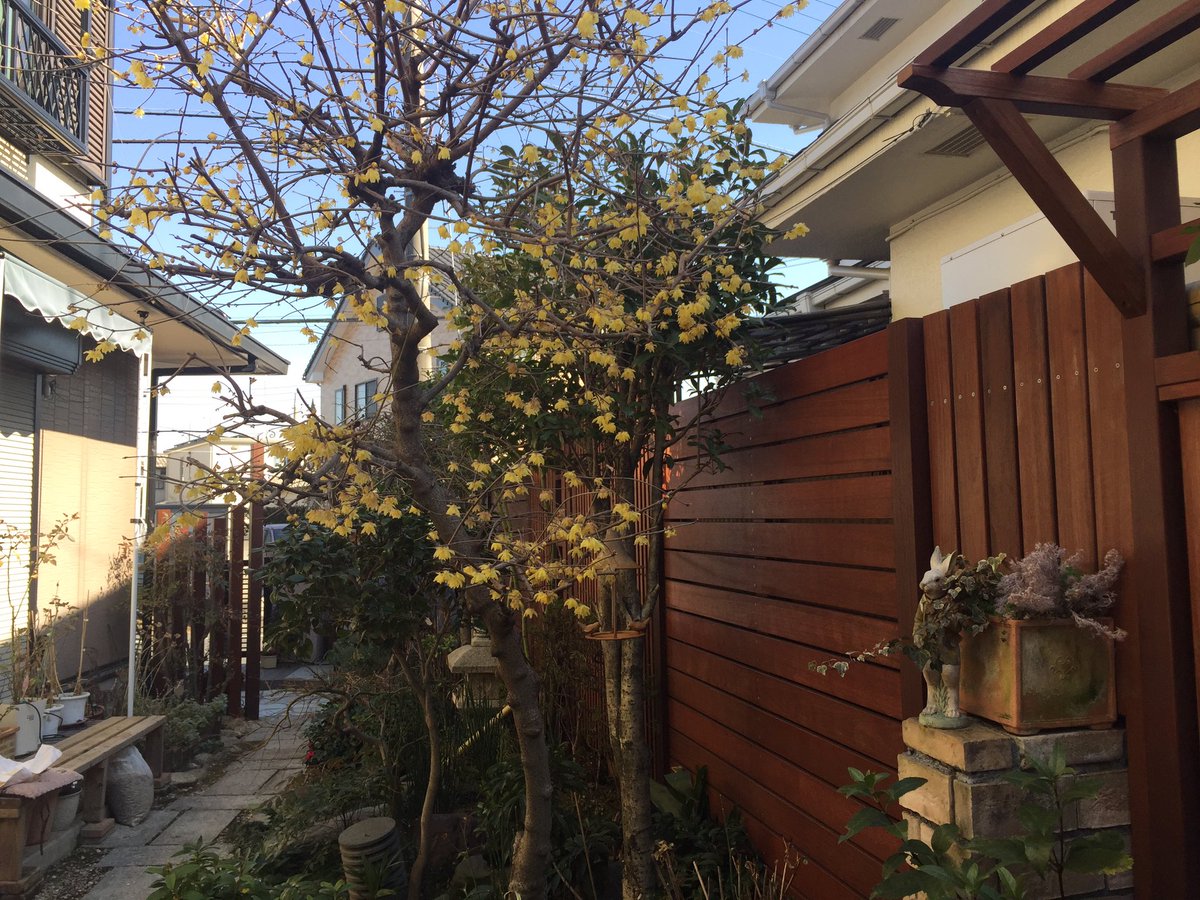 香りの良い花木 香りの良い花木