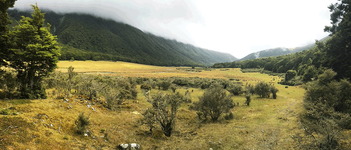New Zealand's #GreenstoneTrack along the Greenstone River