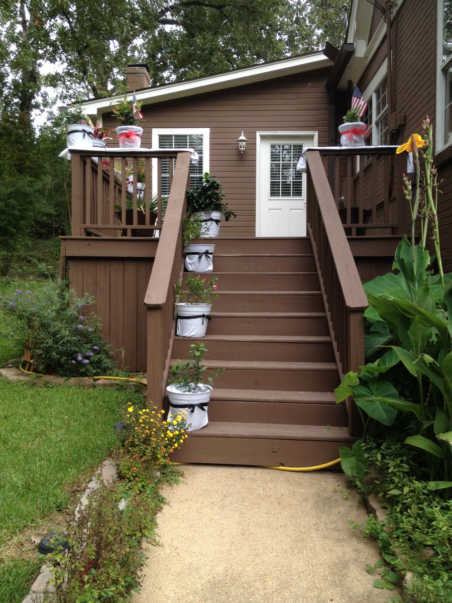 How 2 include Everyone &amp; Everything in your event...black tie plants.