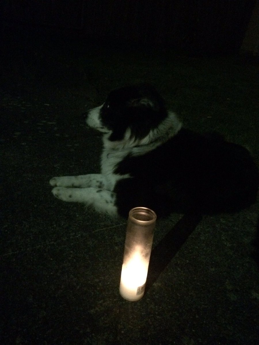 SerSamSEA's tweet image. #ShineALight #Ballard