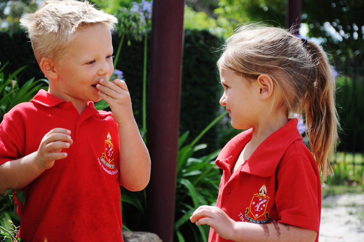 PenGrammar's tweet photo. It’s summer and the tomatoes are so sweet. Lots of foraging fun for our kindy kids!! #pengrammar #pgedu #kitchengarden https://t.co/BtHddOtyX0