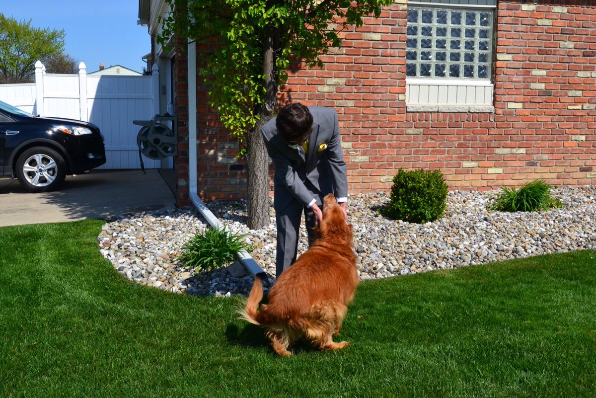 alexandermontry's tweet photo. She wasn't technically my dog, but she sure as hell felt like it. She never failed to greet me at the door with a smile, love you buttercup https://t.co/mUWmGXBgNU