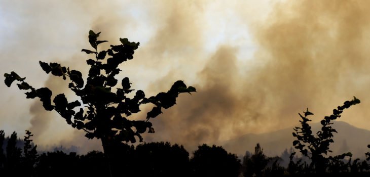 65 personas han sido formalizadas por presunta responsabilidad en incendios forestales rbb.cl/fu7v