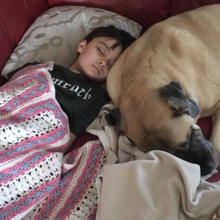 Snballesteros's tweet photo. My lovely Sadie that passed away Friday https://t.co/x8CLTr6LlA