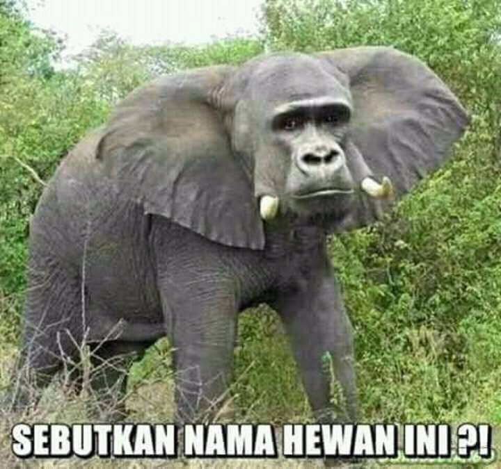 adhen67's tweet photo. https://t.co/Ij3tfBEBH1