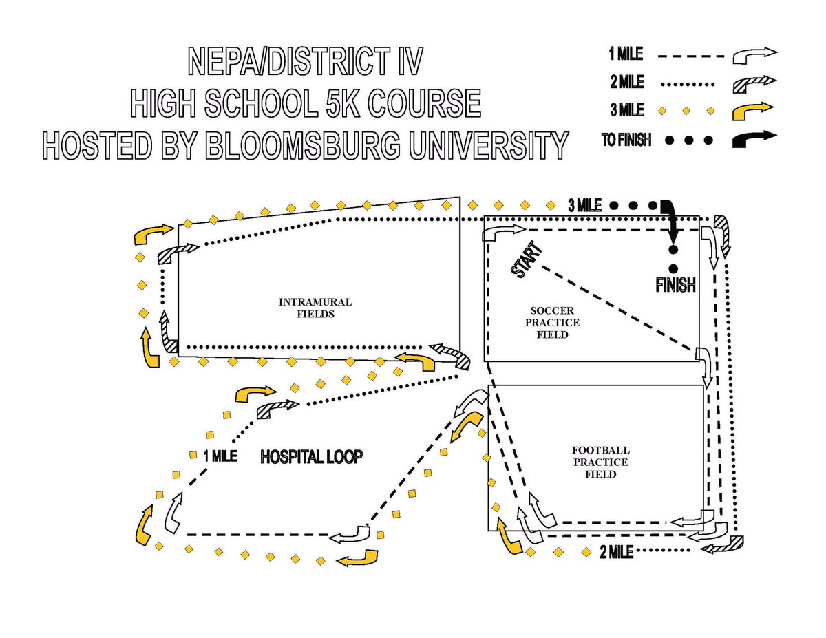 cross country 

expectation vs reality