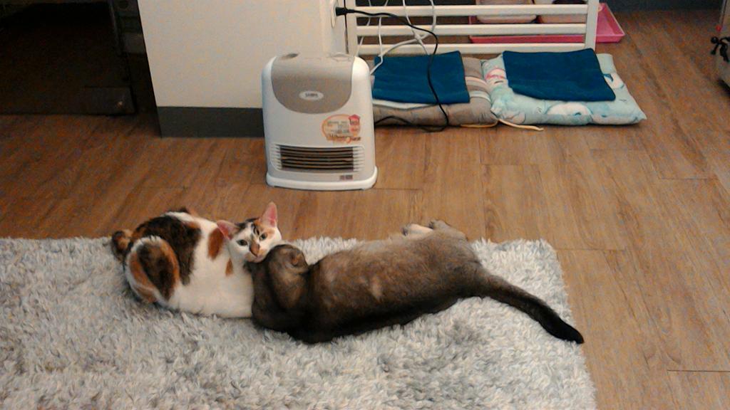 Christina tweet media