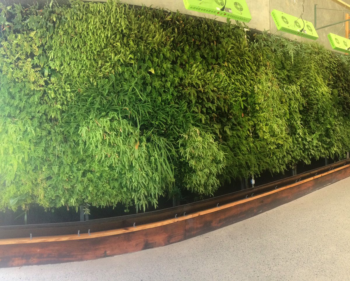 Office wall at #naturaeducation. Living what they preach 🙏🏻