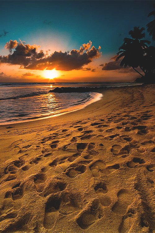 dct_ihjc's tweet image. People begin to grow old when they lose hope and passion.
The heart is young, always live with confidence and hope.