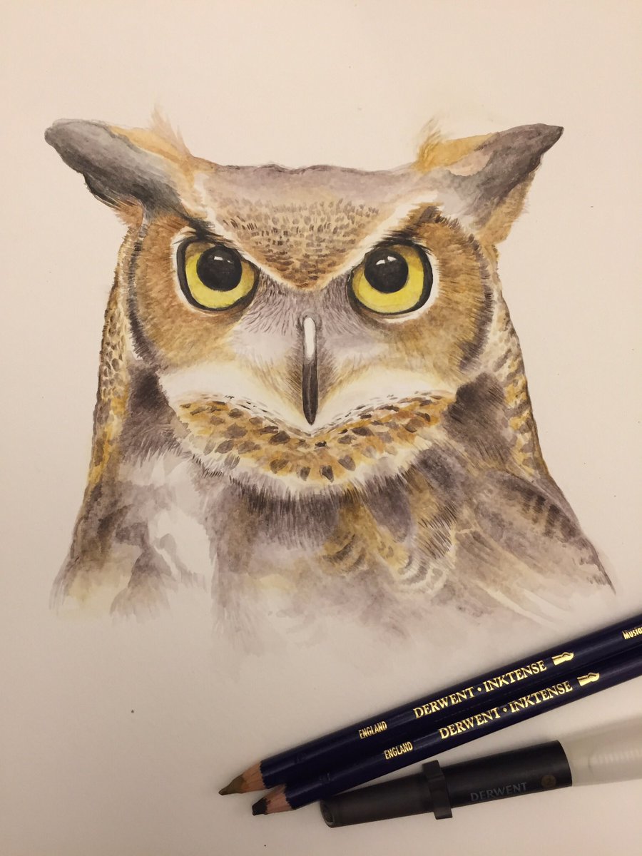 richt3a's tweet photo. @derwentpencils .. very much enjoying my new Derwent Inktense pencils and waterbrush #derwent https://t.co/V9S5RPlw40