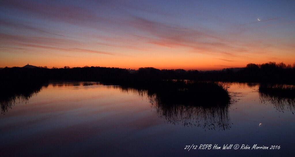 Robin Morrison tweet media