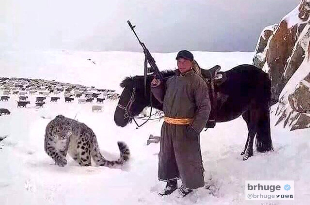 You may think you're cool, but you'll never be as cool as a Mongolian shepard with an AK-47 and a pet snow leopard