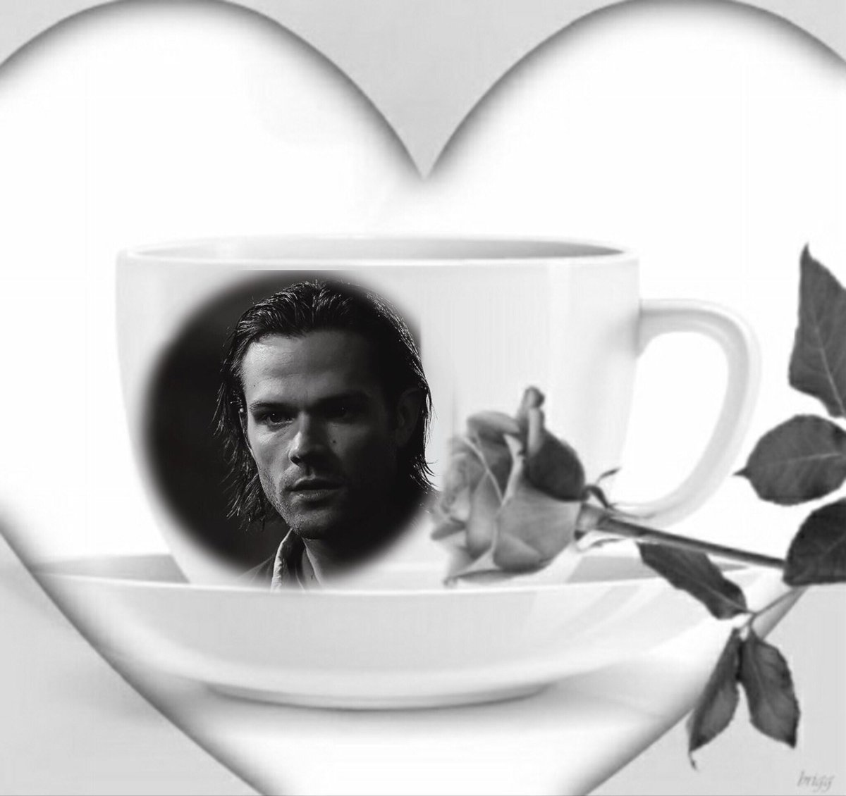 Purplewolf1314's tweet photo. Good Day to @Ruby_Rising @ruby_zd @Addicted2J2nSpn @numberonenanny3 @olgagarufi @Mypixierose @jaredhugefan https://t.co/MuNvspJsrw