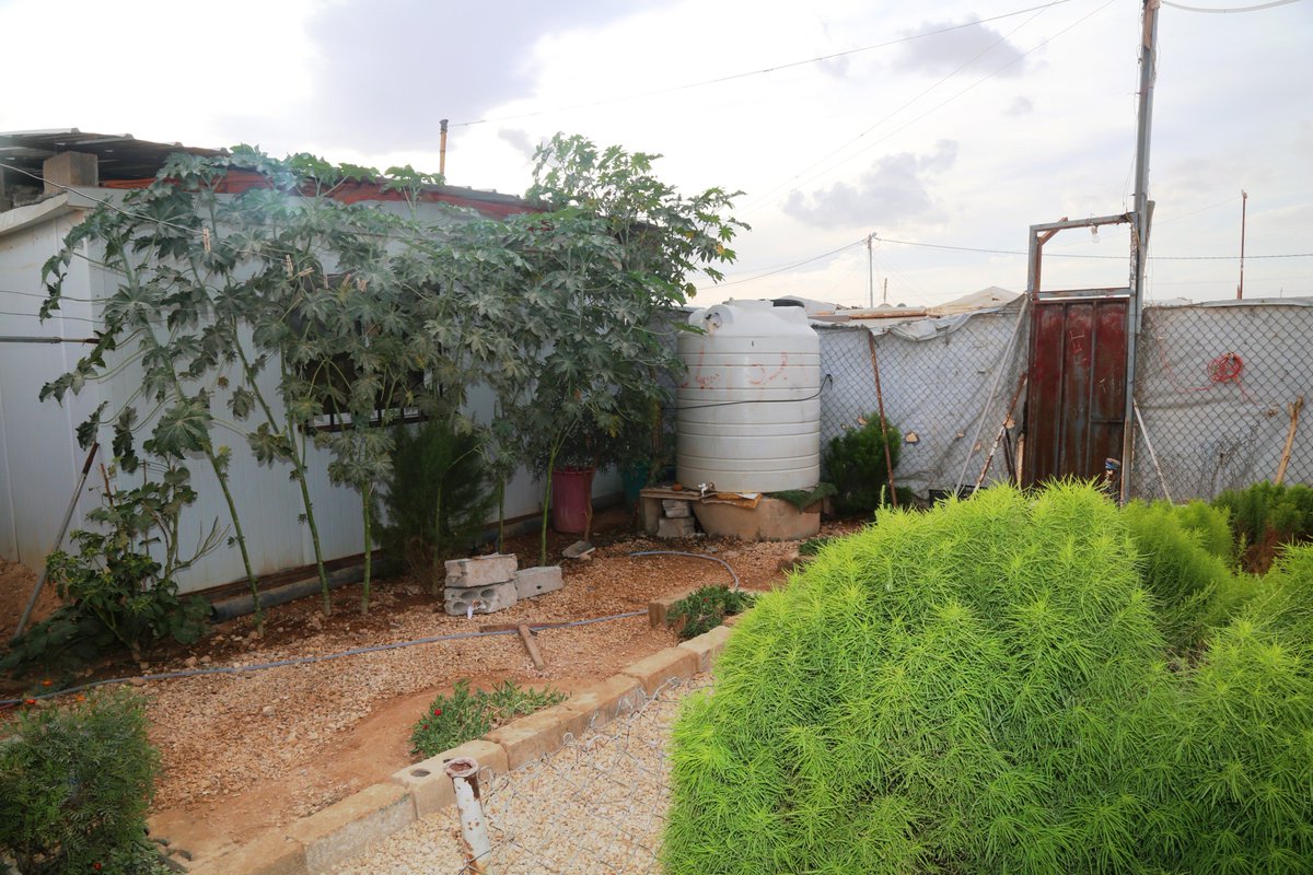 ZaatariCamp's tweet photo. #HomeAwayFromHome 
from @ZaatariCamp @Refugees shelter No.2
#منزل_بعيد_عن_الوطن من #مخيم_الزعتري منزل 2 https://t.co/ADauasr4cL
