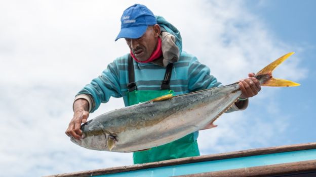 WillSmale1's tweet photo. How smartphones are proving clickbait for fishermen https://t.co/AlhV6IjG4B #entrepreneurship https://t.co/Zmp7gjLaaY