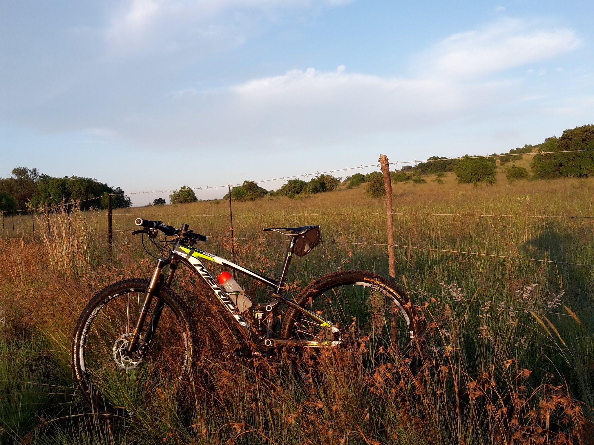 Mellow Velo Cycles MeloVeloCycle X
