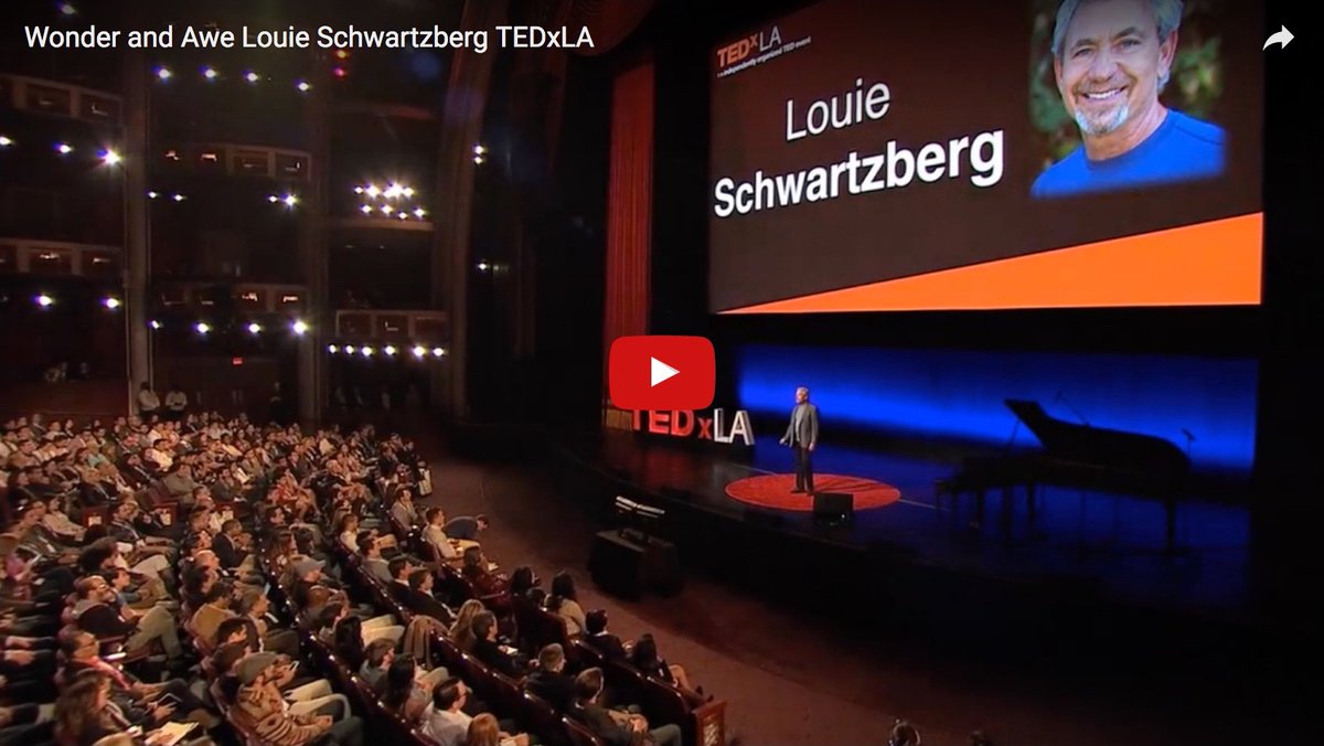 LouieFilms's tweet image. Very excited to share my latest TEDxLA talk, "Wonder &amp;amp; Awe". Join me to see life through the eyes of a hummingbird. gratituderevealed.com/wonder-awe-ted…
