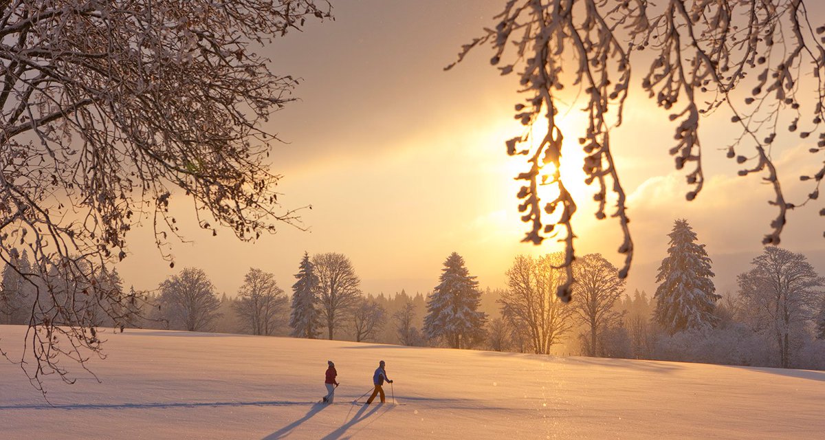 Keine Zeit um richtig in die Skiferien zu fahren? So kannst du trotzdem ins Winterferiengefühl eintauchen bit.ly/2kYJ63V