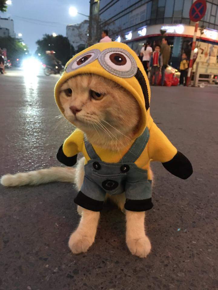 myrapyja_'s tweet image. Carik mak tak jumpa.