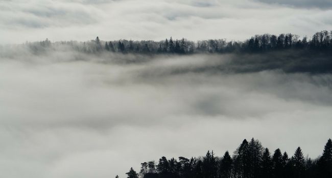 ArtofLiving's tweet image. When the mind, intellect,&amp;amp; ego rests in the divine,that is real rest,the deepest rest –complete peace.#Mahashivratri
artofliving.org/mahashivratri/…