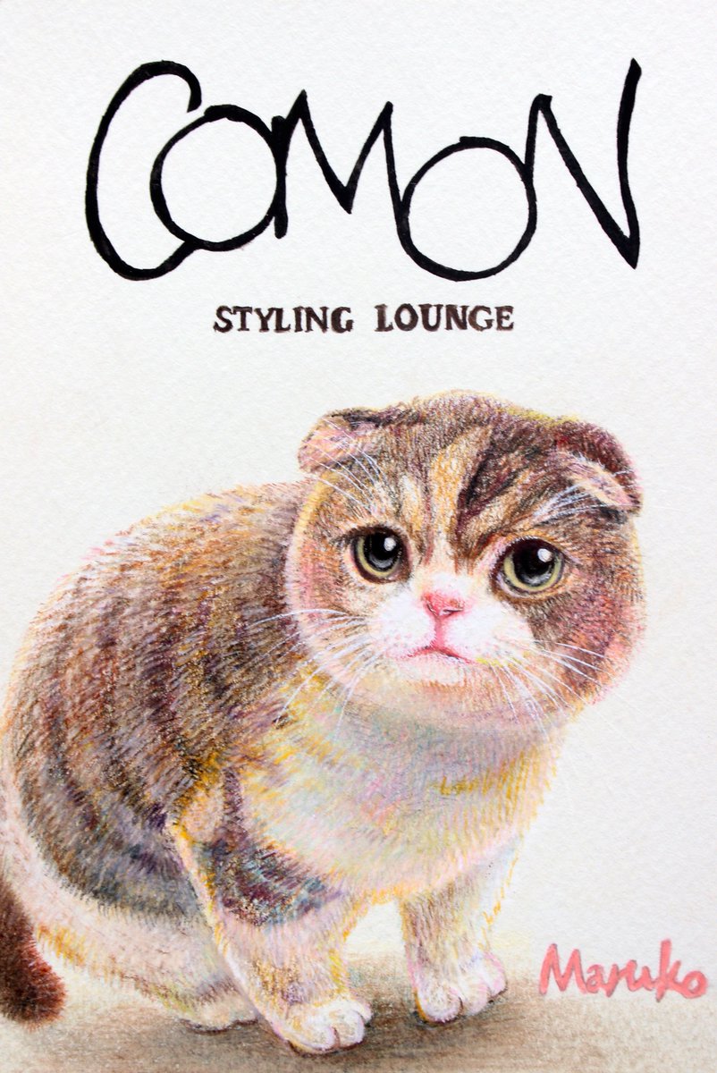 おしるこイラストレーション スコティッシュフォールドのまるこちゃん 金沢の美容室さんの看板猫ちゃんとのことで こちらのブログで愛でられます 本物可愛すぎ T Co Koggh8jblt メルカリ ミンネ イラストオーダー 色鉛筆
