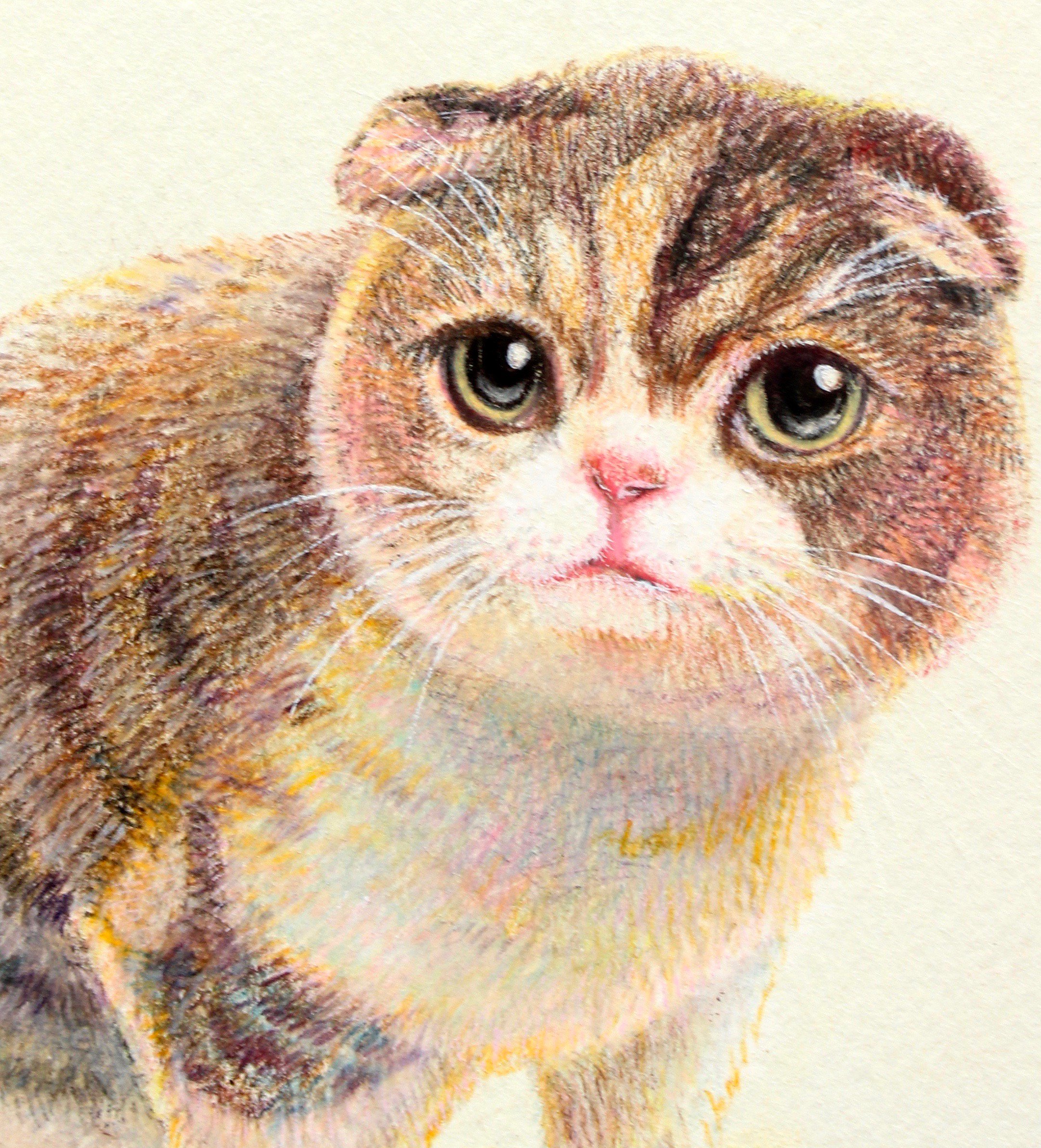 Oshiruko illustration🐹🖌️〜11/4.まるっと小動物展2024@静岡 Oshiruko illustration🐹🖌️〜11/4.まるっと小動物展2024@静岡