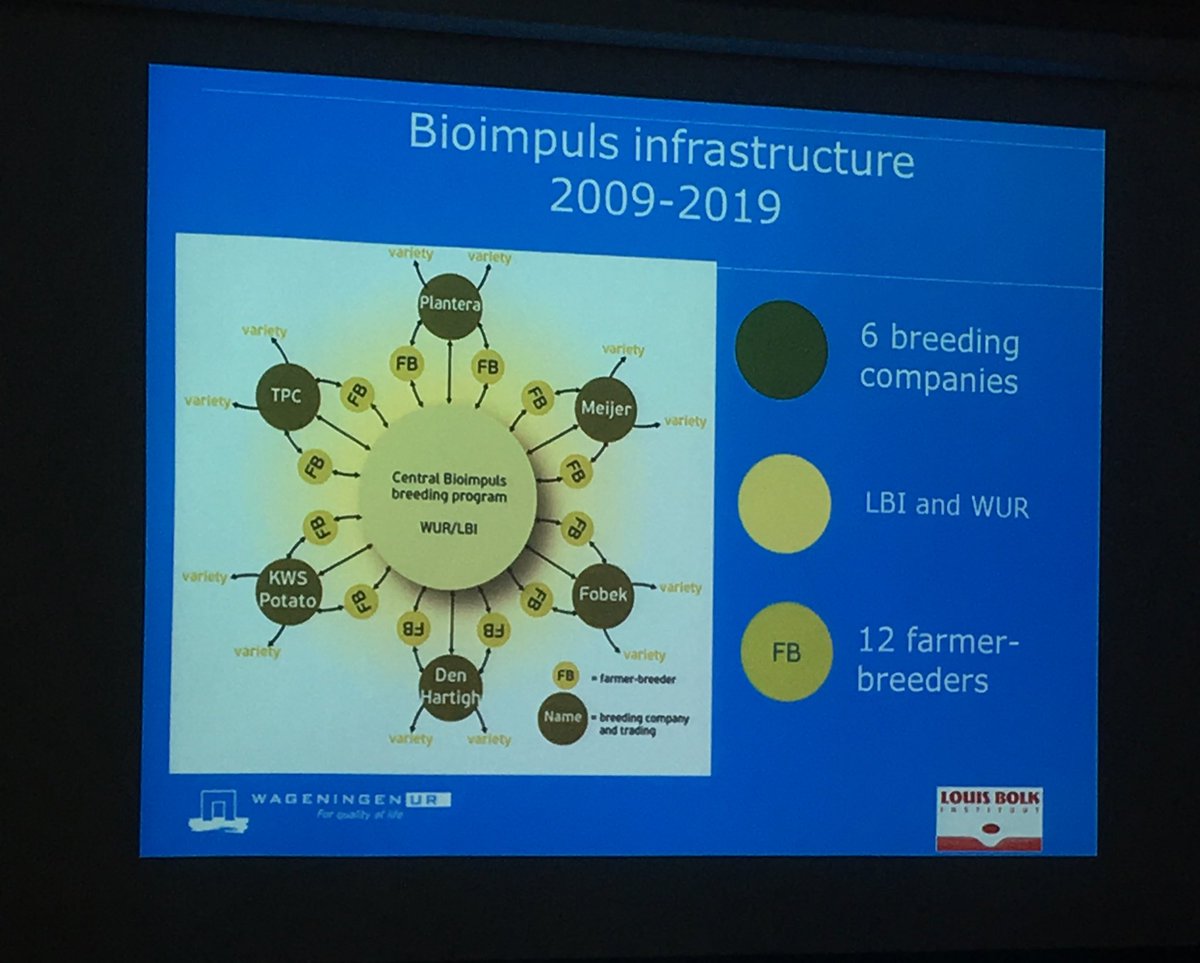 IFarmers's tweet image. Dutch system of farmer-breeders &amp;amp; companies working together &amp;amp; splitting royalties when a variety is registered #potatoblight #ORC17