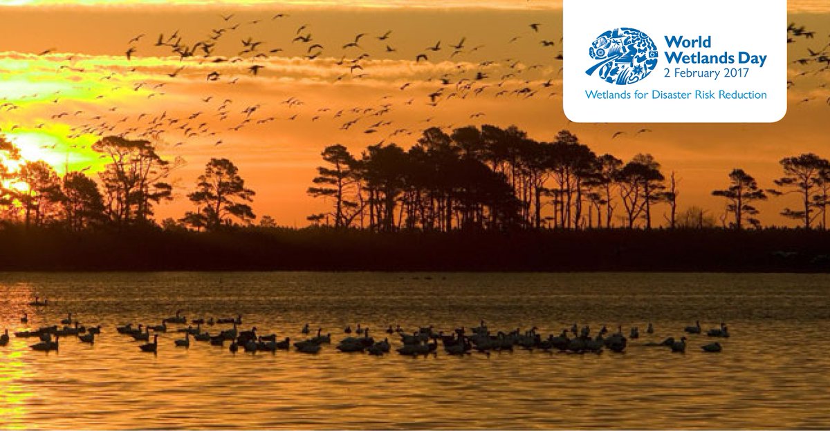 African-Eurasian Waterbird Agreement (AEWA) tweet media