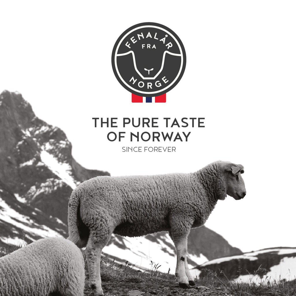 Lolloline's tweet photo. ✨🐏✨ #newproject#checkitout#fenalårfranorge#graphicdesign#lovemyjob Link in bio👆🏻 https://t.co/0rNHm2QPkr