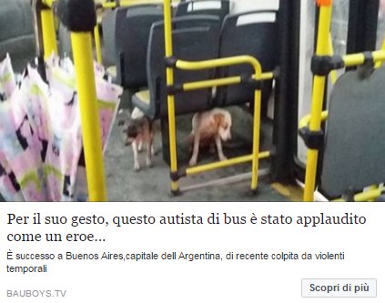 Commovente gesto di generositá si è diffuso in maniera virale sui social e non è difficile capirne il motivo... bauboys.tv/per-il-suo-ges…