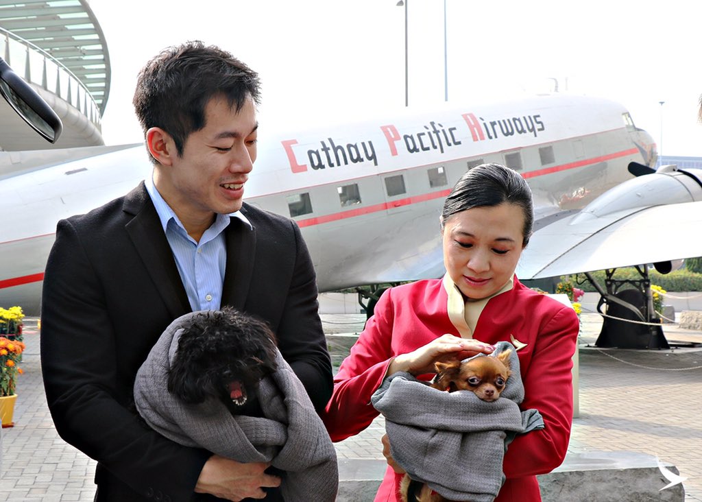 cathay pacific pets