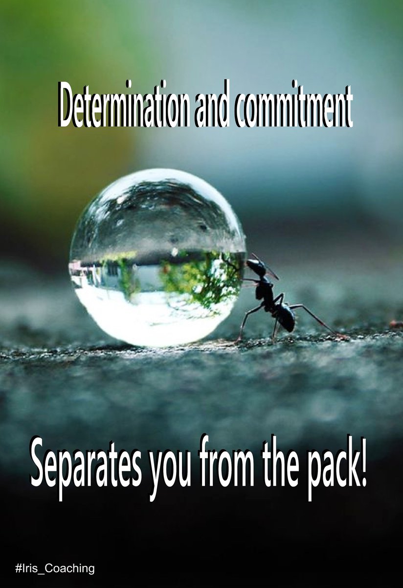 iris_coaching's tweet photo. Degrees are important, your  reliability and commitment though; will separate you from the pack https://t.co/rLZbv6SDWU Tickets @KenyaBuzz https://t.co/kE6szHSOAD