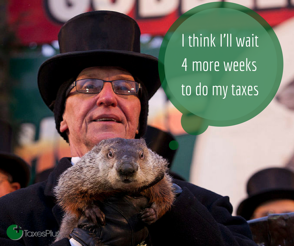 TaxesPlusInc's tweet photo. Don't be afraid of your #Tax shadow and wait 4 more weeks to file your return! #TaxesPlusKC #SmallBusiness in #ShawneeMission #GroundHogDay https://t.co/YaBJKP0FhT