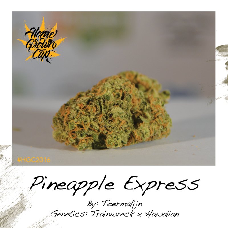 homegrowncup's tweet photo. The complete HomeGrown Cup 2016 indoor category entry gallery is online now! Visit: https://t.co/f8indaHVpl #HGC2016 #CannabisCup https://t.co/7GmlwTaxBL