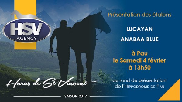 France Sire (@francesire) on Twitter photo RDV Samedi 04/02/17 à 13h50 pour la présentation de Lucayan et Anabaa Blue du <a href="/harasstvincent/">Haras de St Vincent</a> à <a href="/Hippodrome_Pau/">Hippodrome de Pau</a> france-sire.com/actu_generale-… RDV Samedi 04/02/17 à 13h50 pour la présentation de Lucayan et Anabaa Blue du <a href="/harasstvincent/">Haras de St Vincent</a> à <a href="/Hippodrome_Pau/">Hippodrome de Pau</a> france-sire.com/actu_generale-…