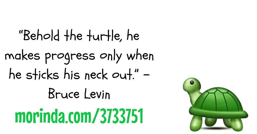 midobioactivist's tweet photo. Quote. Click: https://t.co/YGEZAxU3hj #quote #quoteoftheday #EdSheeran #motivation #mlm #networkmarketing #success https://t.co/KzQoPSeLMo