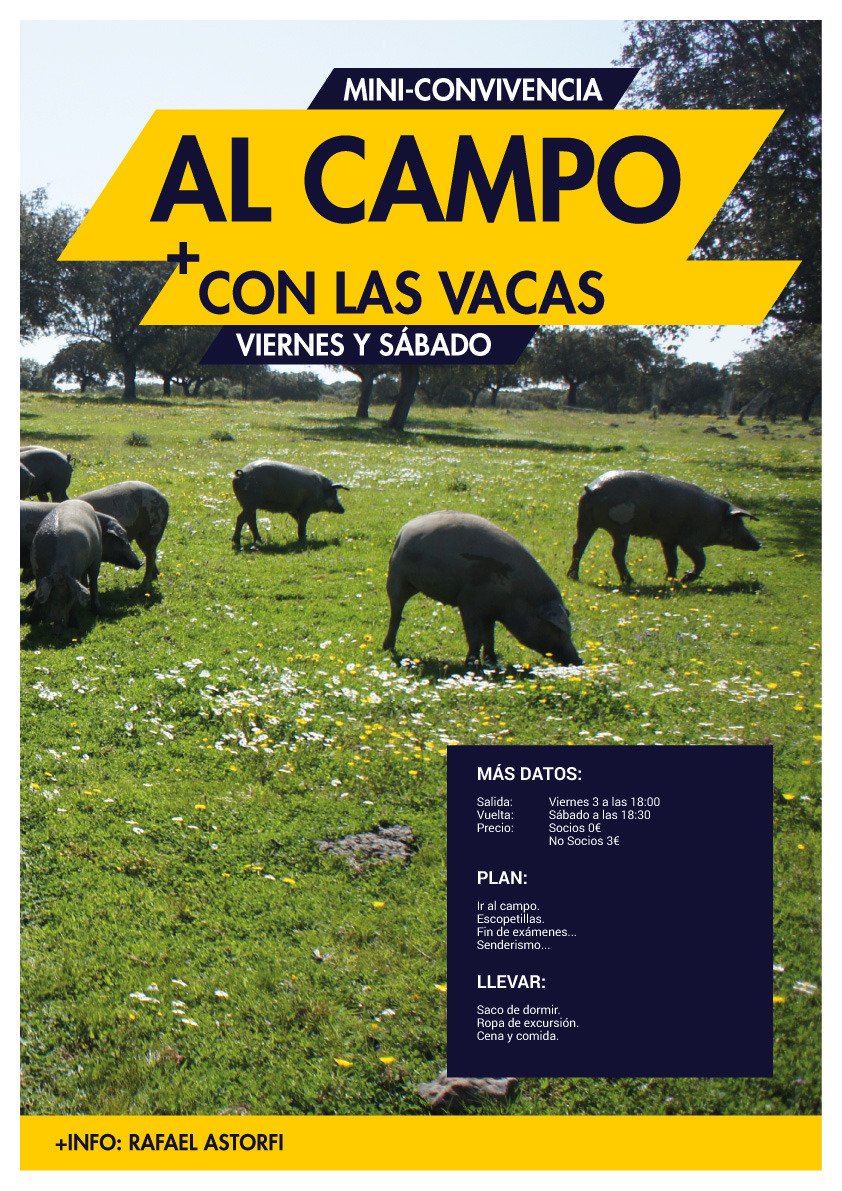 ColegioMayor Almonte tweet media