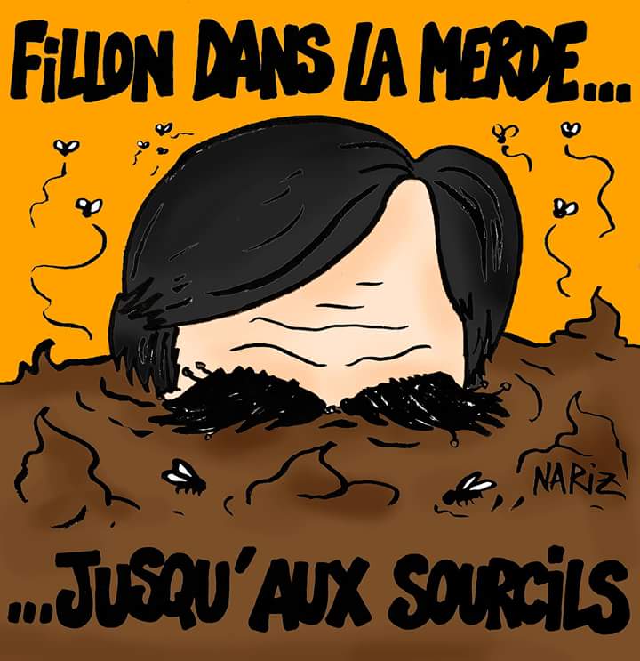 redacfion's tweet photo. #Fillon n'en finit plus de sombrer https://t.co/Tkx8oUjoOD