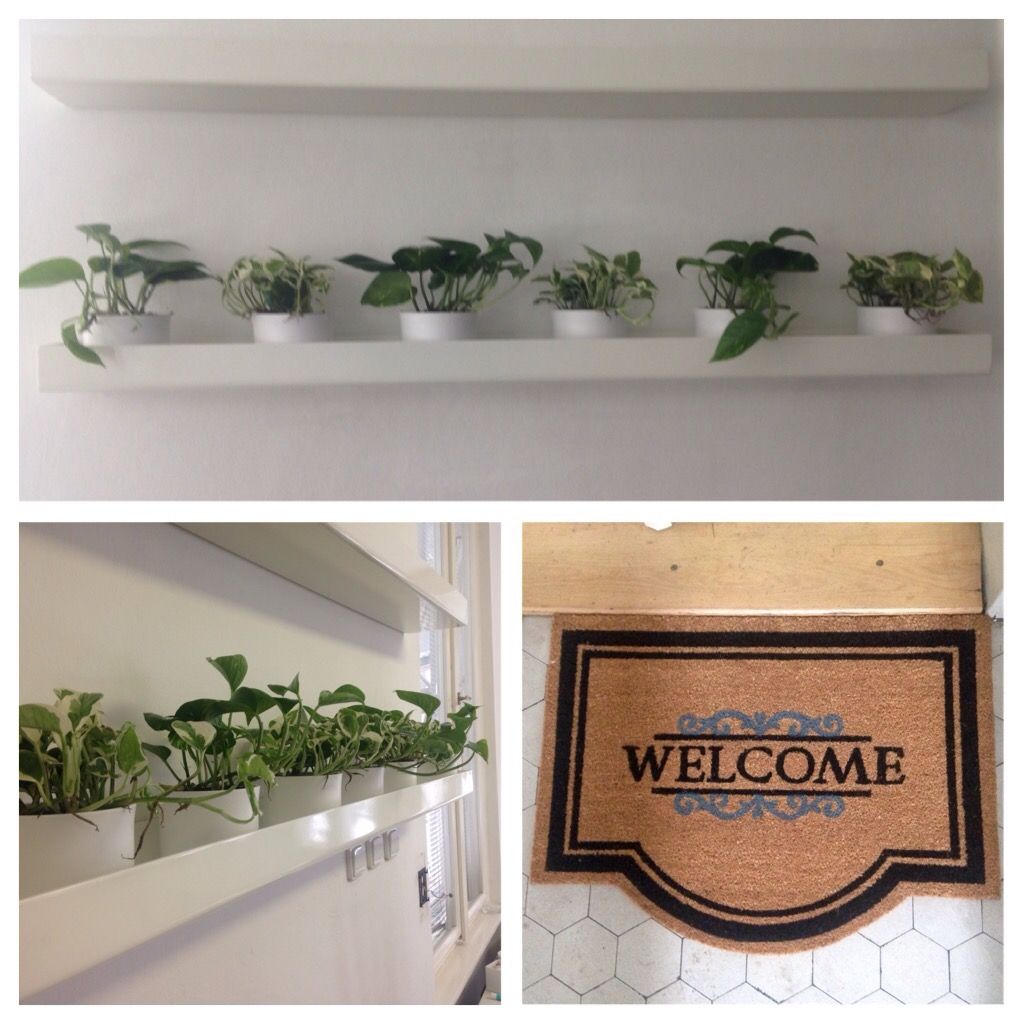 EASYCOREAPPS's tweet photo. Small changes in the office 🌵🌿🍁🍂 #officeinspiration #pimpupmyoffice #flowerpower https://t.co/rApwRr8fef