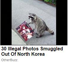 ShitpostBot 5000 tweet media
