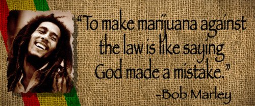 PotValet's tweet photo. What's your opinion?
#marijuana #cannabis #marijuanalovers #weed #smokehigh https://t.co/NgnRHuBzKB