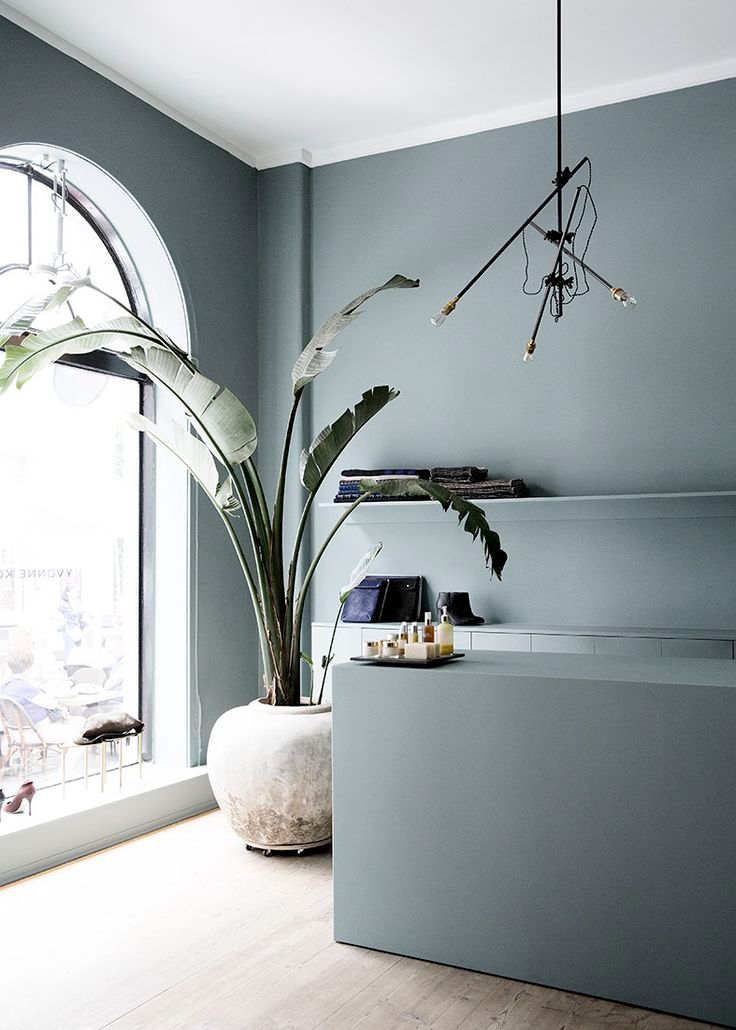 HowesRigby_TPM's tweet photo. Beautiful wall colour | https://t.co/XrFPzPMKLo https://t.co/4ZqhXoI5nE