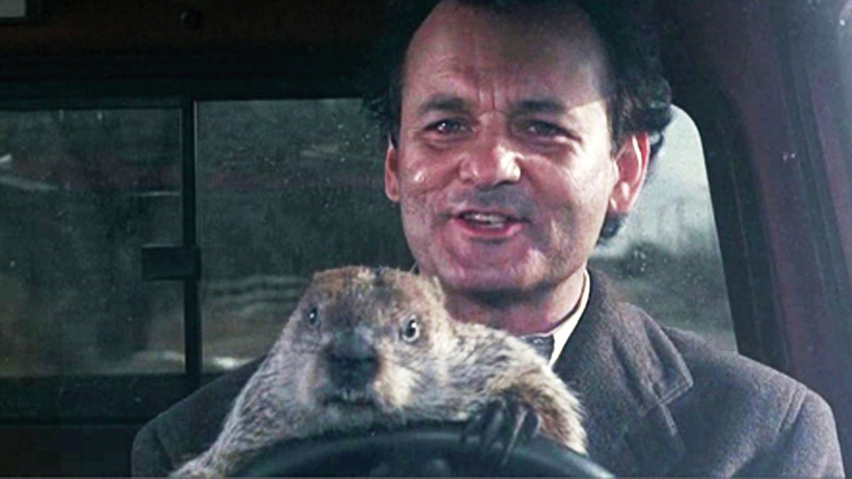 Still from beloved American comedy Groundhog Day, starring Bill Murray. In this shot, an angry-looking groundhog is driving Bill Murray to his death.