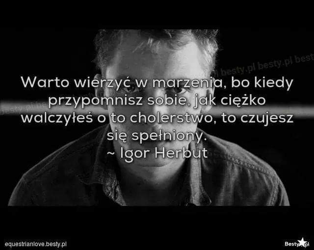 Karolin59482661's tweet photo. Motywacja na dziś #lemonband #ofclemon https://t.co/Ld0vvlOknC
