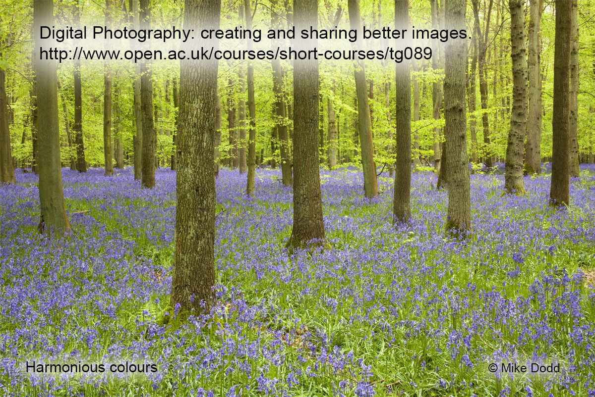 miked1691's tweet photo. https://t.co/Arh7YAOCoU OU digital photo course next closing date 17 Feb #TG089 #T189 https://t.co/l1jC1AJzZx