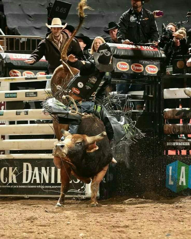 PBR on Twitter Cowboy Up Get in the spirit of PBR Finals Week with the  best of the BFTS JB Mauney vs Bushwacker  Available now on PBRs 8 to  Glory httpstcoZXzPy2vkHO 