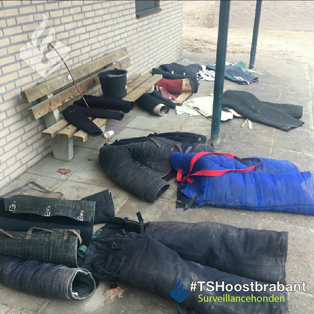 TSH_OostBrabant's tweet photo. Ochtendprogramma zit er op! Materiaal voor de middag ligt al klaar! #intest #nieuwecollegas #politie https://t.co/ZfllAI2rlN